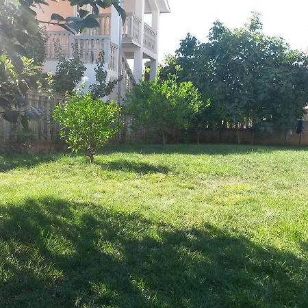 Apartment Villa Dobrijevic -Seljanovo Teodo Esterno foto