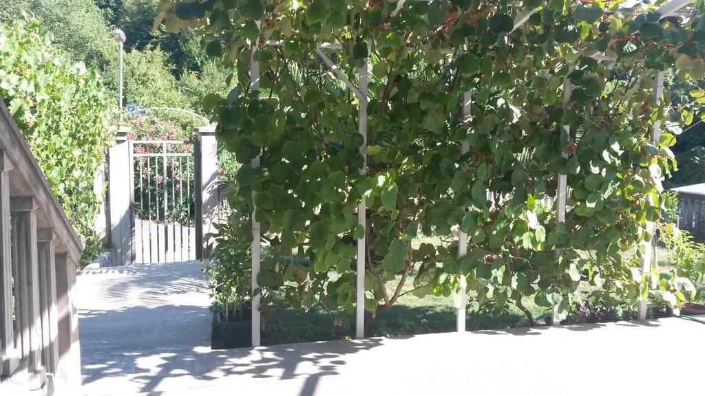 Apartment Villa Dobrijevic -Seljanovo Teodo Esterno foto